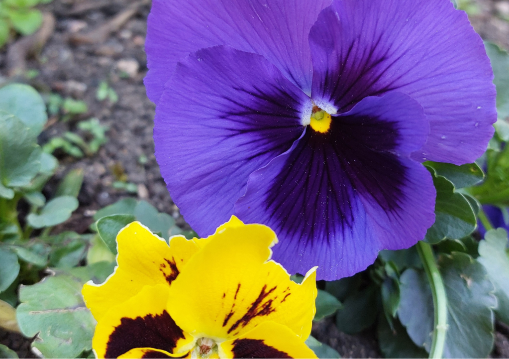 Special offer for new clients, get an hour of reiki healing at a specially discounted price.